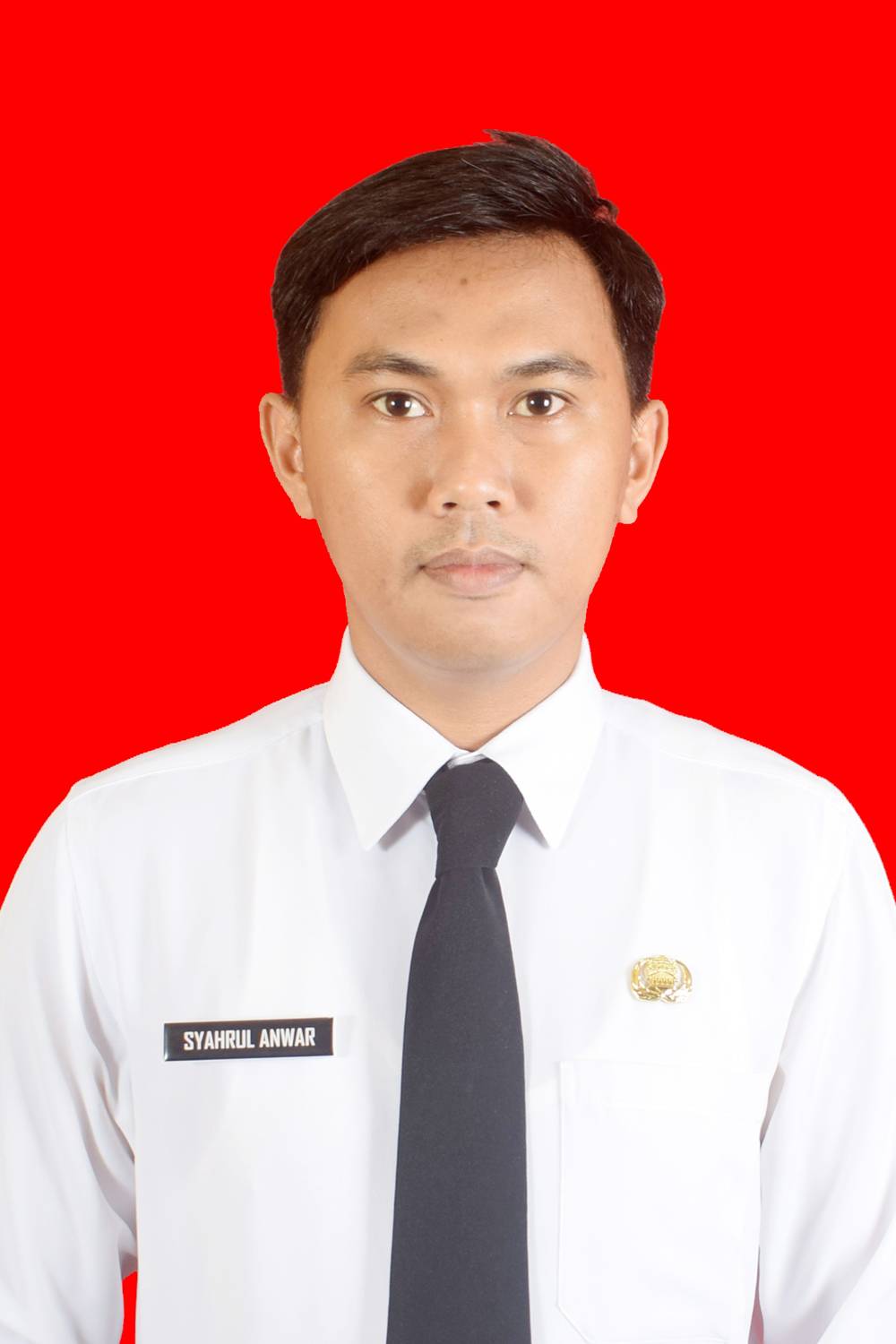 Foto Syahrul Anwar