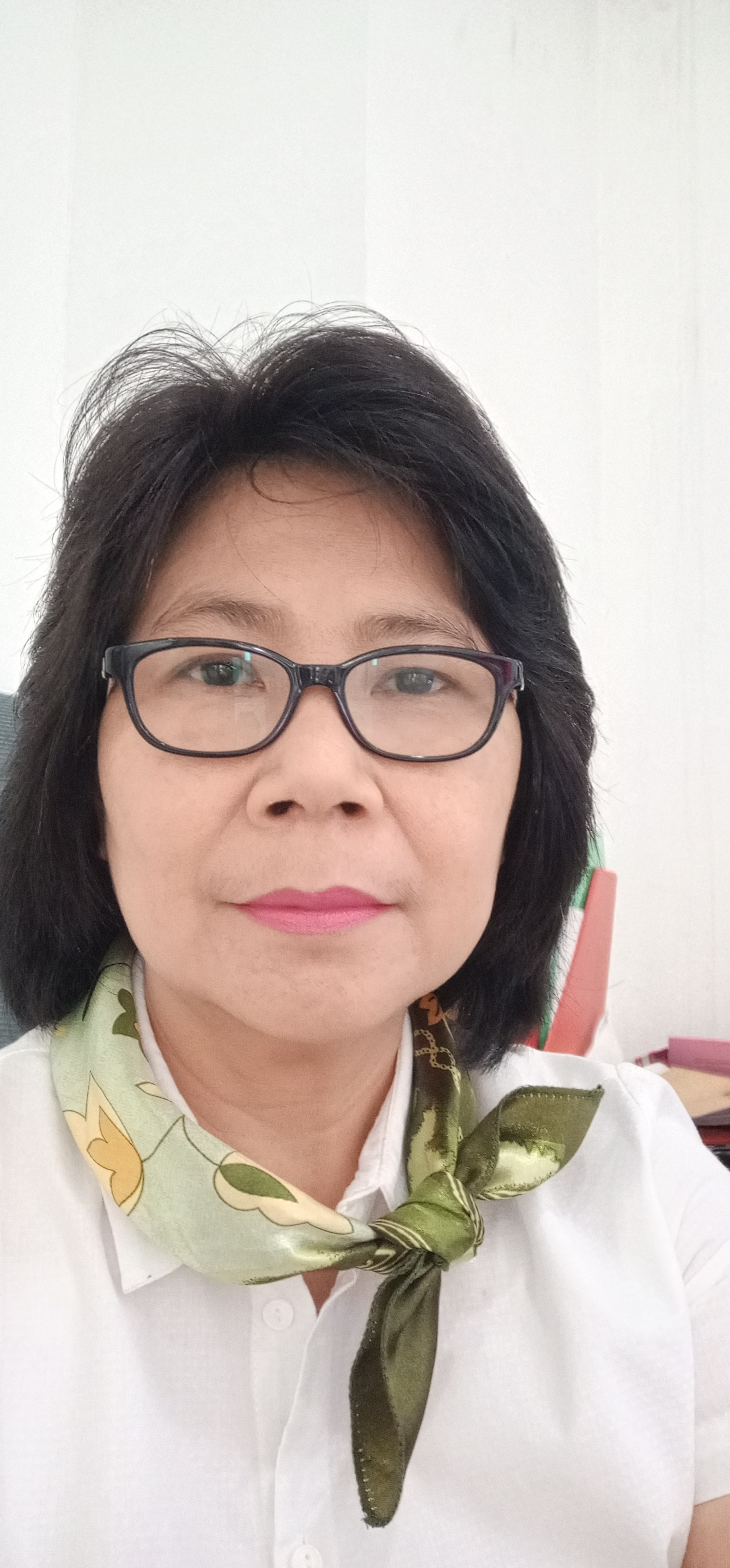 Foto LISA KARLINA A L