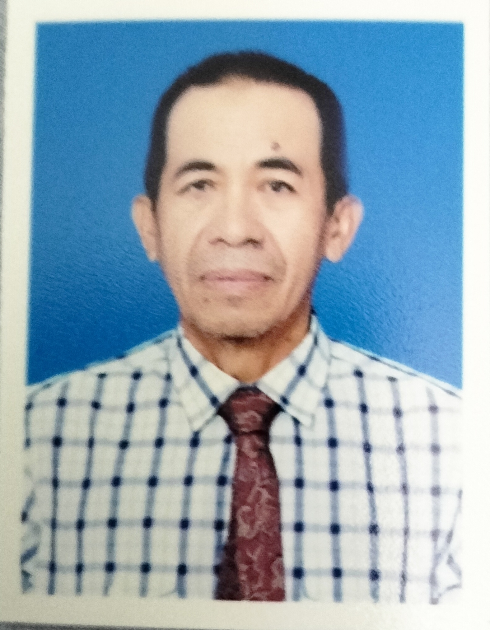 Foto Hermansyah 