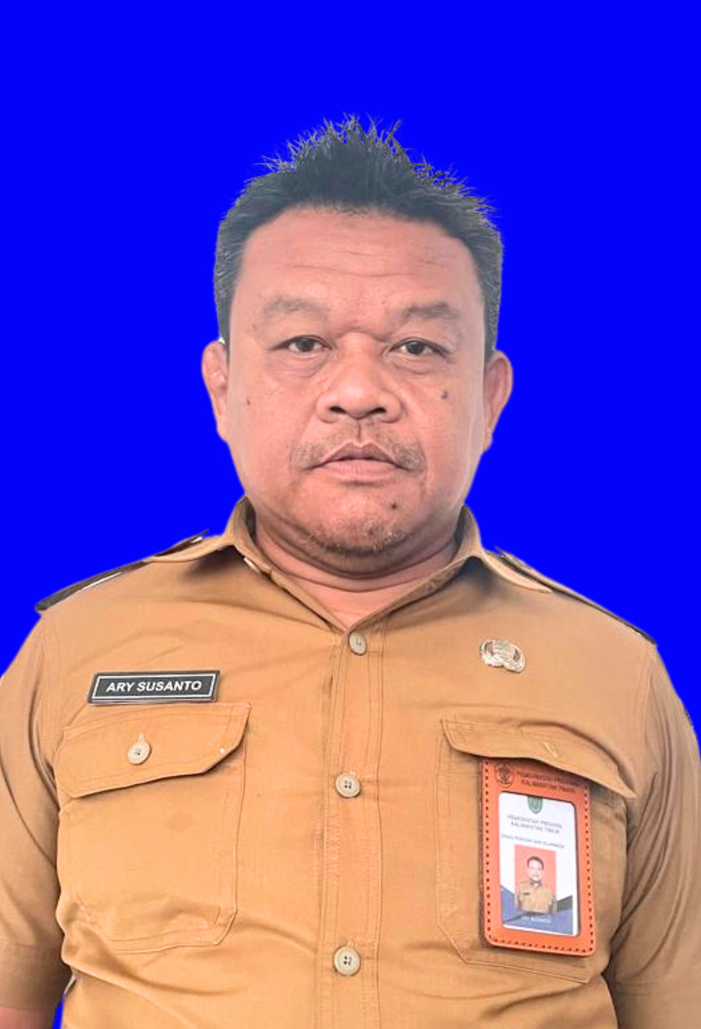 Foto Ary Susanto